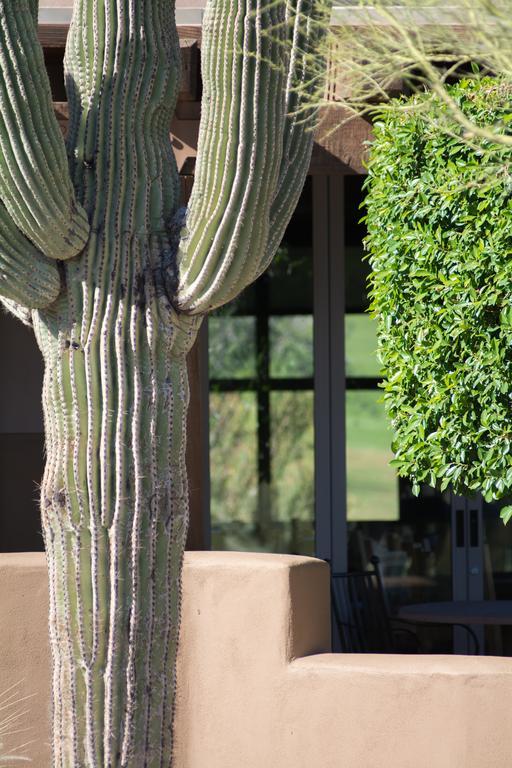 Inn At Eagle Mountain Fountain Hills Bagian luar foto